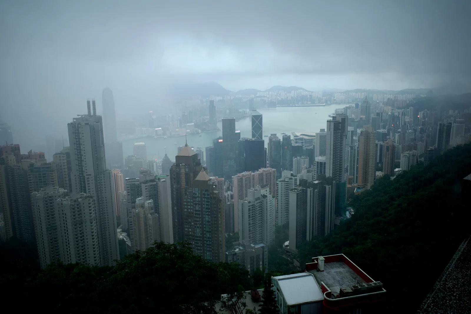 A fog bank drifting across a dense harbor skyline
