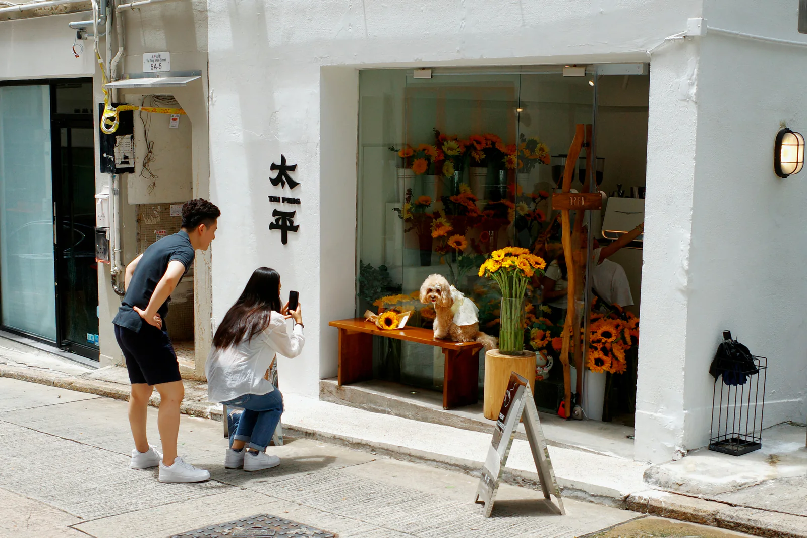 Two people photographing a small dog outside a sunflower-filled shop